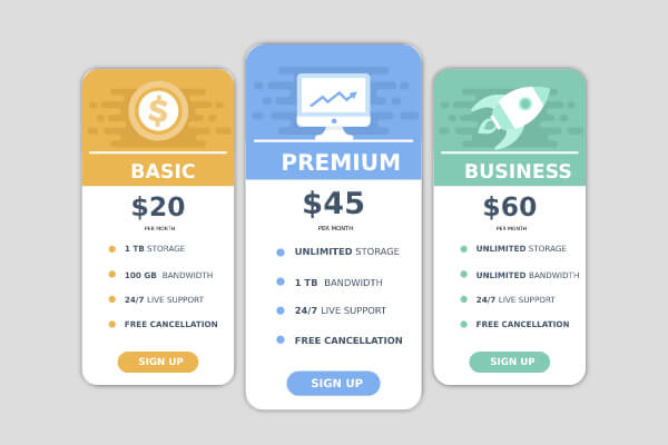 Pricing and Packages